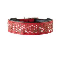 Hunter Halsband Basic Rivellino Gr42. Rot/Schwarz,Breit 2.6cm