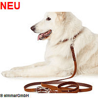 Hunter Training Leash Solid Education