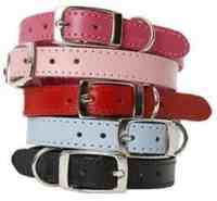 DOGUE Plain Jane Collar, Pink, 30cm