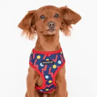 Fete Hunde T-Shirt Gr. S - XL