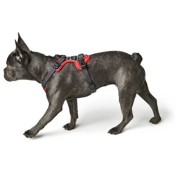 Hunter, Dog Harness Divo Gr. XS - L - Click Image to Close