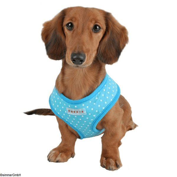 Dotty Dog Harness A, Gr. XS / S / M / L - Click Image to Close