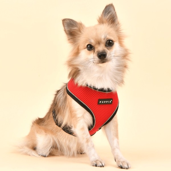 SOFT HARNESS® PRO Gr. S - XL - zum Schliessen ins Bild klicken