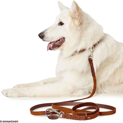 Hunter Training Leash Solid Education