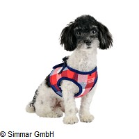 Quinn Puppia Dog Harness B Gr. S - XL